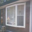 Bay Window